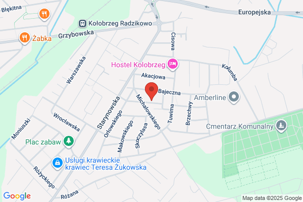 Bipro. Biuro projektowe. Radzinski L.
