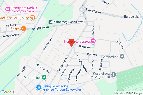 Dolisz P. Pracownia techniki dentystycznej