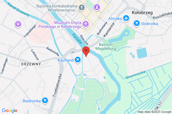 Dolowy M. Uslugi fizjoterapeutyczne