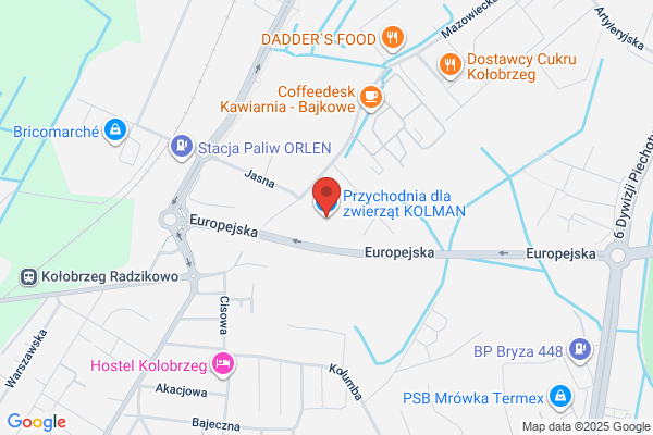 Kolman Katarzyna, lek. wet. Przychodnia dla zwierzat