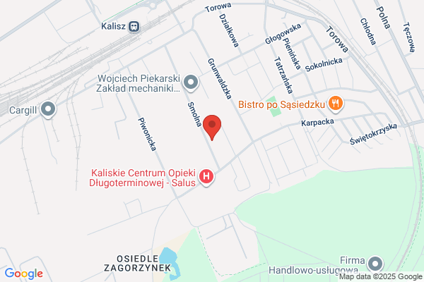 Center Oil Kalisz. Oleje i smary