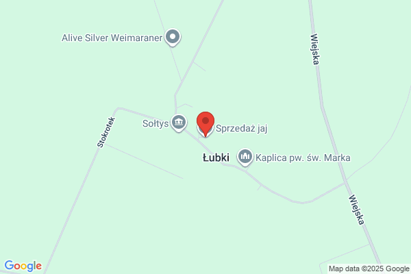 Jamicki B.A. Ferma. Produkcja jaj spozywczych