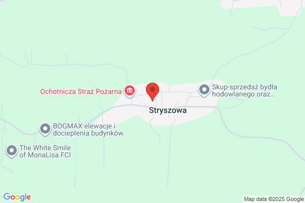 Klimanek Zbigniew. Uslugi transportowe