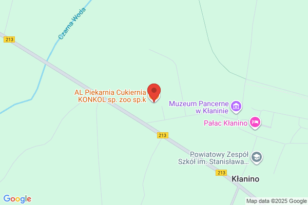 Konkol Daniel. Agencja internetowa