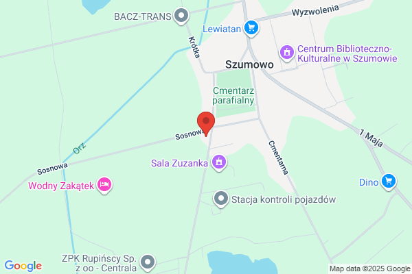 Baczyk A.B. Transport drogowo - towarowy miedzynarodowy