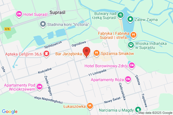 Jarzebina. Bar