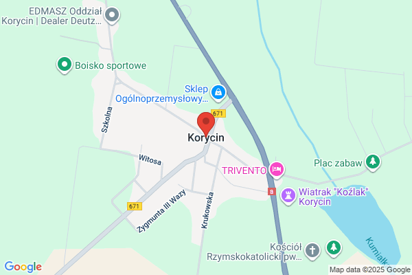 Termo-Dom. Rokicka K.