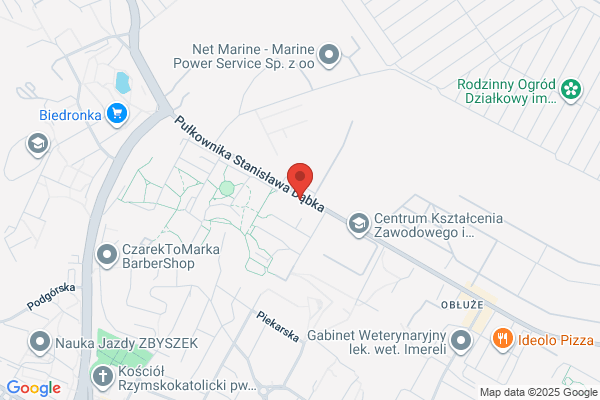Azalia. Projektowanie i pielegnacja ogrodów. Icek P.