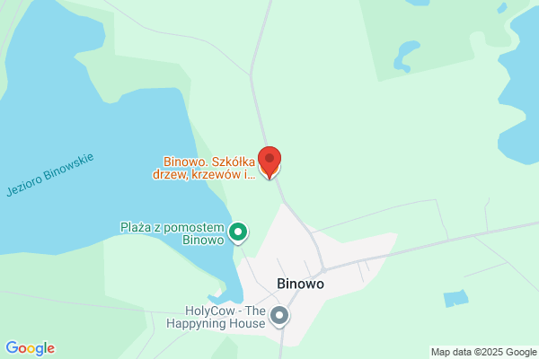 Butkiewicz K.I. Sprzedaz drzewek, krzewów, kwiatów