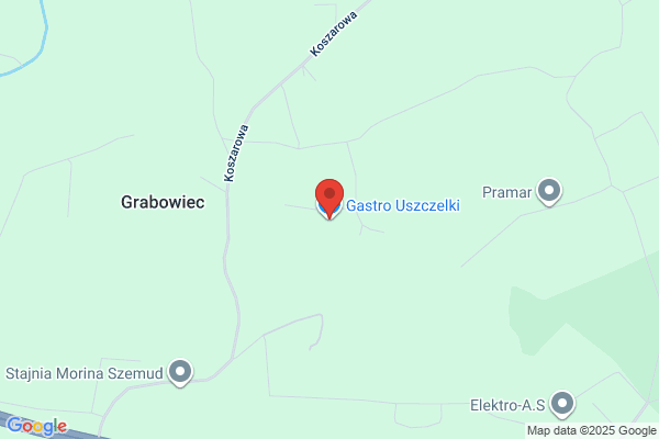 Gutowski Adam. Sprzedaz urzadzen gastronomicznych