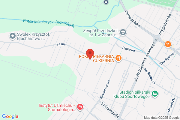 Swiatlo w Dloniach. Fundacja opieki socjalnej