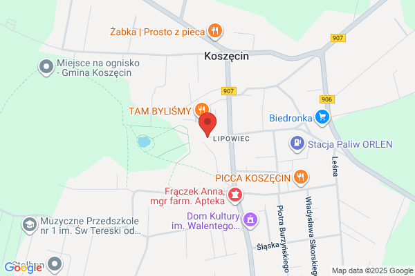 Slask. Zespól Piesni i Tanca im. S. Hadyny