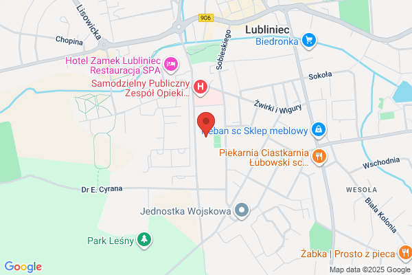 Czornik M. Uslugi transportowe