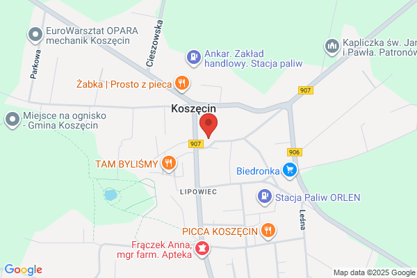 Dudniczek Leszek. Fryzjerstwo damsko - meskie