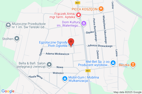 Gospodarstwo ogrodnicze