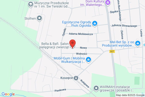 Koszecinska Dabrowa. Hodowla psów rasowych