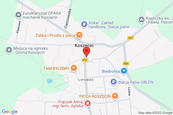 Kot Ryszard. Sklep odziezowy