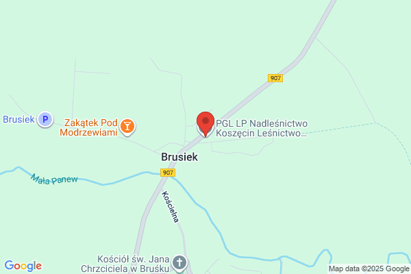 Lesnictwo Brusiek. Nadlesnictwo Koszecin