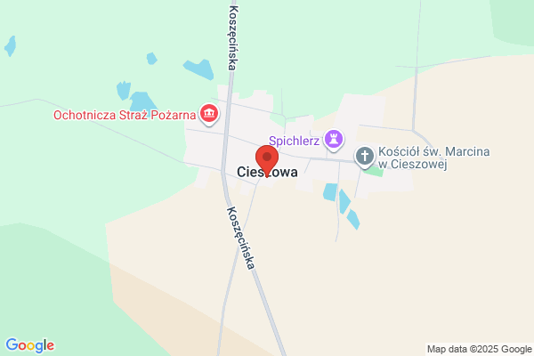 Lesnictwo Cieszowa. Nadlesnictwo Koszecin