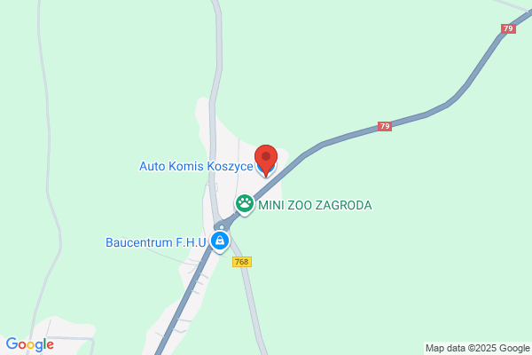 Panek Zbigniew. Komis samochodowy