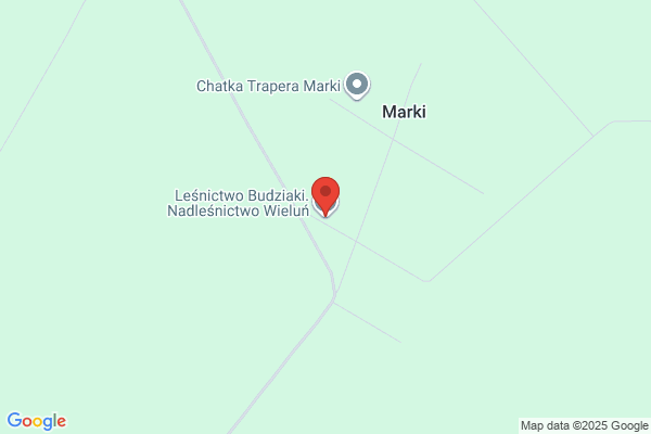 Lesnictwo Marki. Nadlesnictwo Wielun