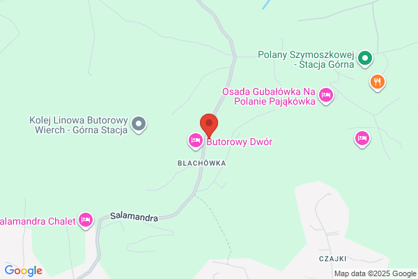 Budrysówka Willa. Goscimski J.