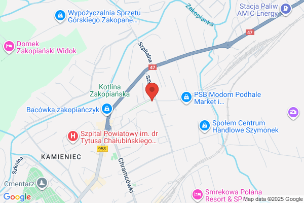 Zespól muzyczny