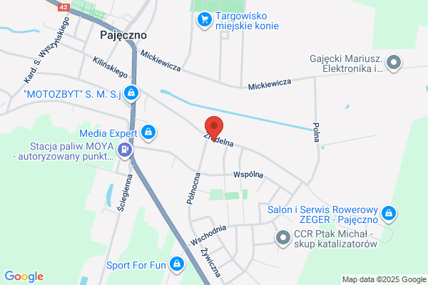 Megatechnika. Wyposazenie sklepów i gastronomii