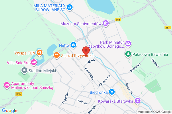Biedronka. Dyskont spozywczy spólki Jeronimo Martins Dystrybucja