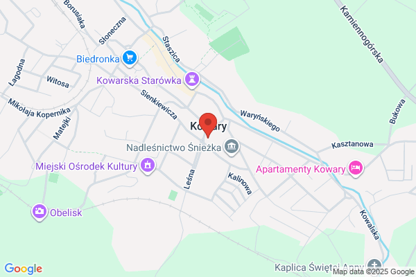 Henike Zbyszek. Naprawa pojazdów samochodowych