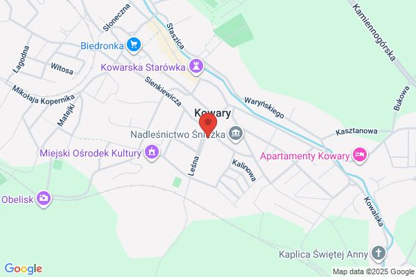 Kosean-Kotlinska Urszula, lek. med. internista