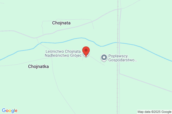 Lesnictwo Chojnata