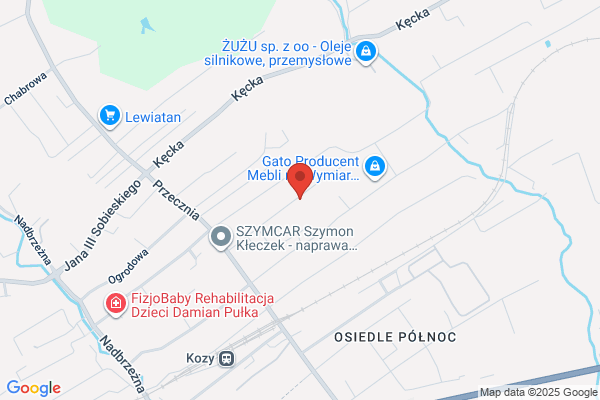 Malarz Stefan. Murarstwo