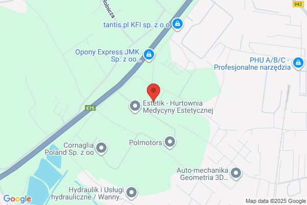 Sury Czeslaw. Transport samochodowy
