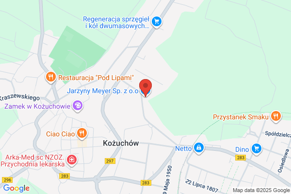 Jarzyny Meyer. Mrozone warzywa, mrozone owoce. Produkcja, hurt