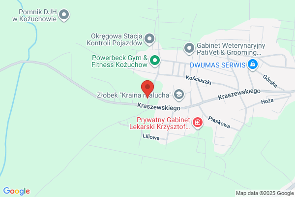 Policja. Komisariat