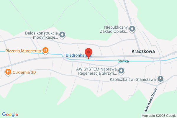 Biedronka. Dyskont spozywczy