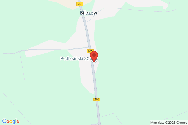 Podlasinski. Transport miedzynarodowy