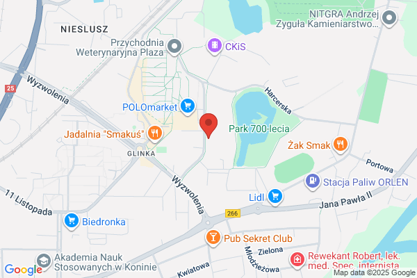 Alm. Parking strzezony