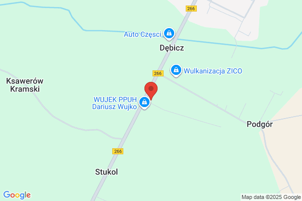 Automyjnia