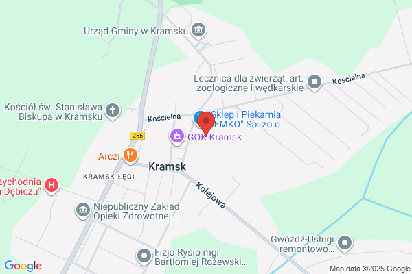 Borgis-Czajkowski. PHU. Elzbieta Czajkowska. Pieczatki, stemple, wizytówki