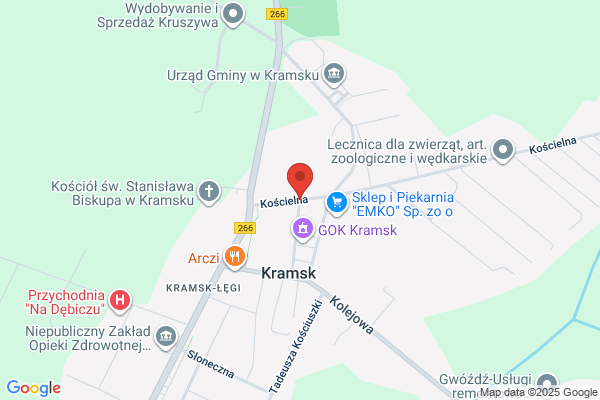 DHPr. Stacja paliw. Borkowski S.