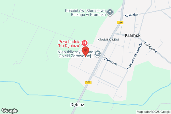 Diadent. Bulicz-Bochenska A.