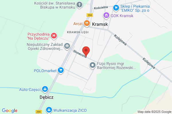 Dzikowski Robert. Uslugi dzwigowe