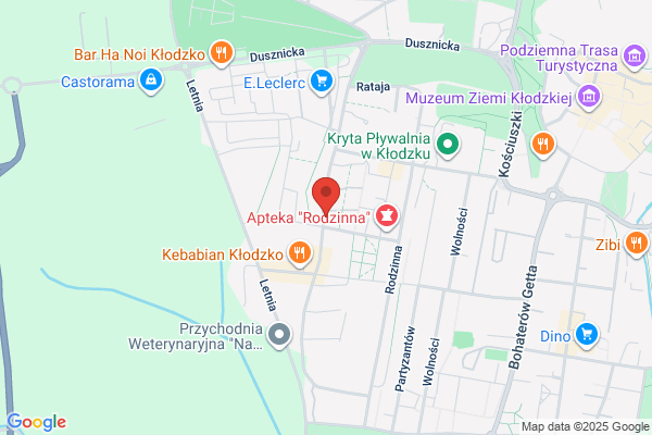 Big Trans Logistik. Transport krajowy i miedzynarodowy