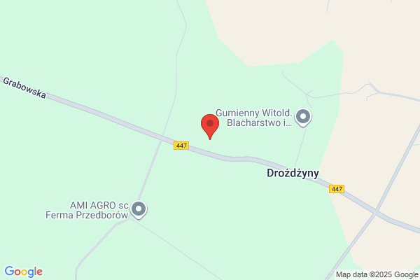 Ami. S.j. Oddzial. Hurtowa sprzedaz drobiu