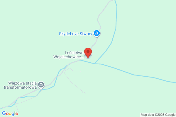 Lesnictwo. Nadlesnictwo Bardo Slaskie
