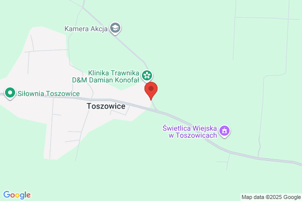 Szewczyk Wanda, Karpinski Mariusz. Uslugi transportowe, elementy palet SC
