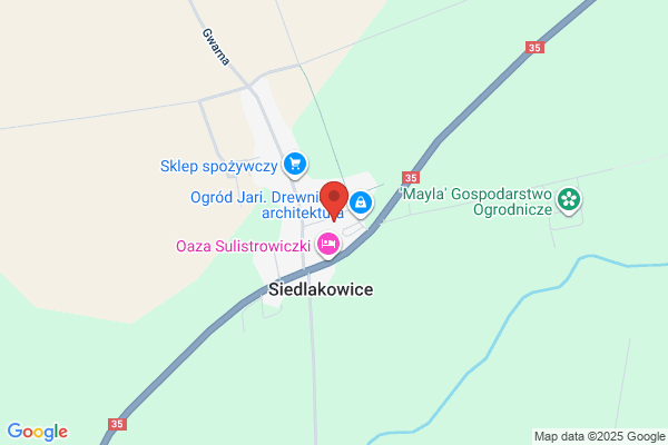 Szajna Jacek. Nauka jazdy