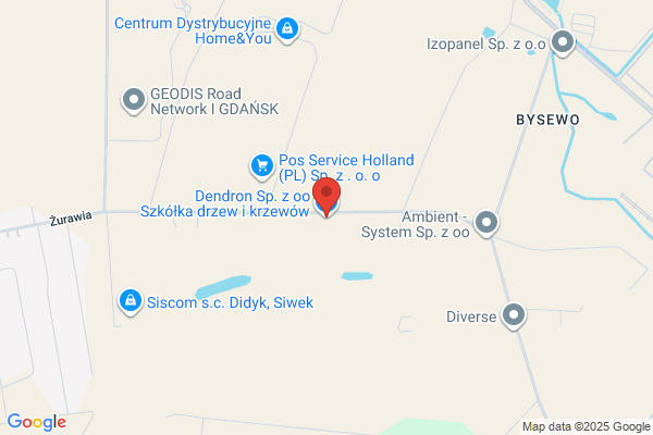 Dendron. Chorodenska K.